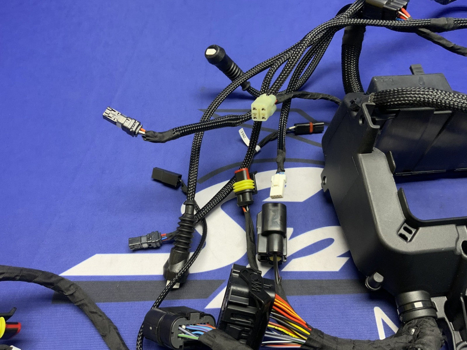 Ducati Main Wiring Harness Panigale V4 Speciale 2019 OEM 5101C371G