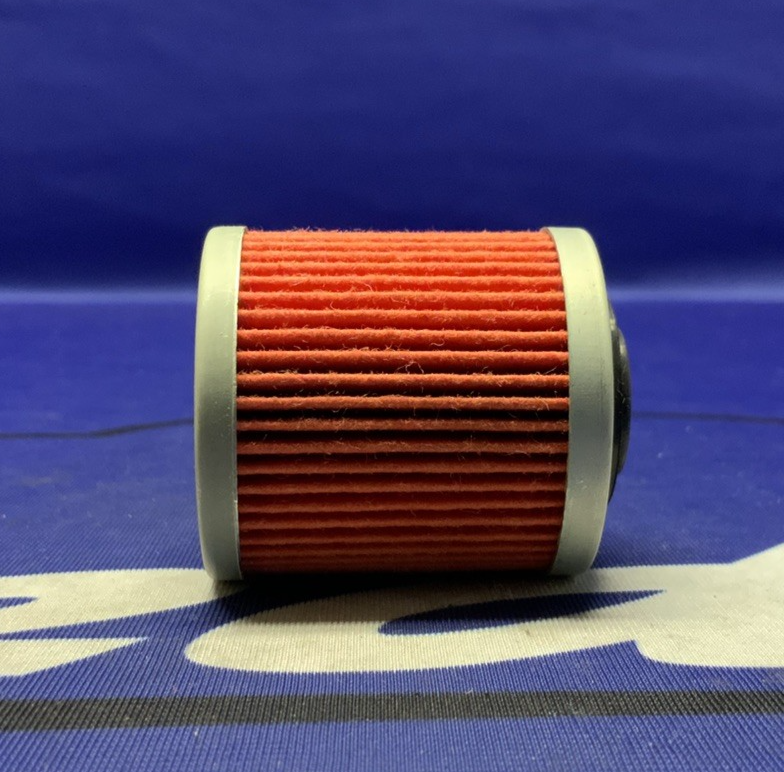 K&N Performance Oil Filter Cartridge DS450 2008-2009 KN-560