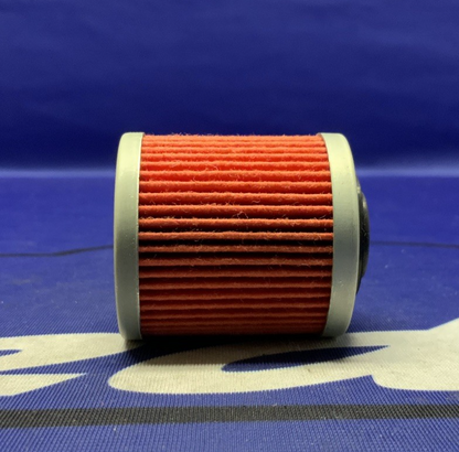 K&N Performance Oil Filter Cartridge DS450 2008-2009 KN-560