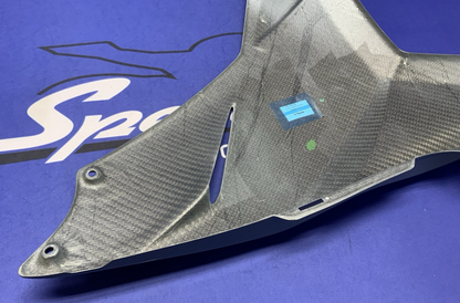 Energica Right Side Fairing EGO 2020-2026