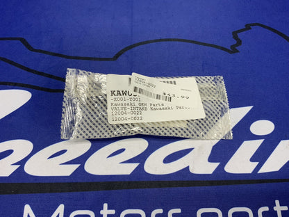 Kawasaki Intake Valve Ninja ZX-6R 2007-2023 OEM 12004-0022