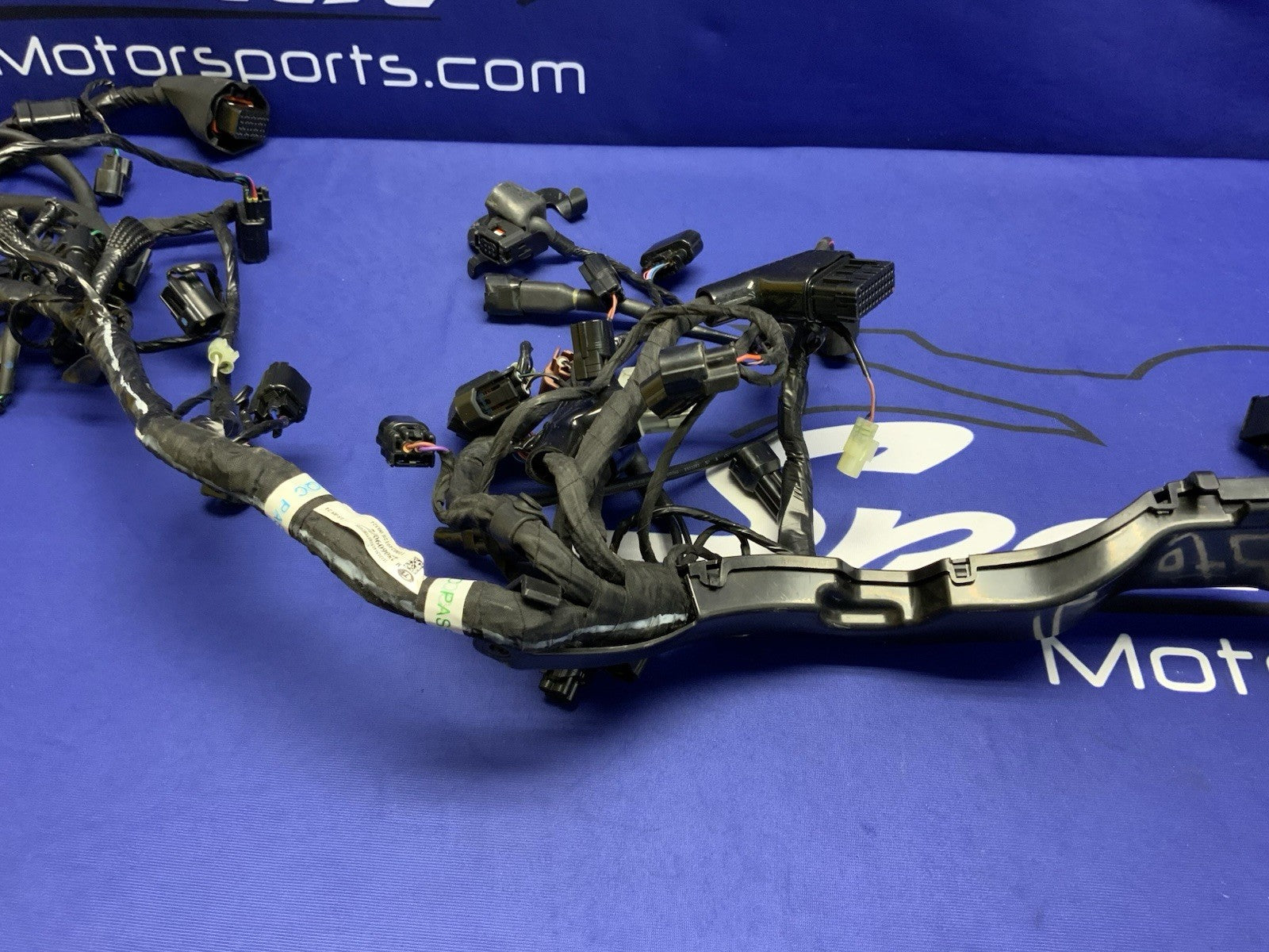 Triumph Main Wiring Harness (No Horn Connector) Street Triple 2023-2025 T2506090