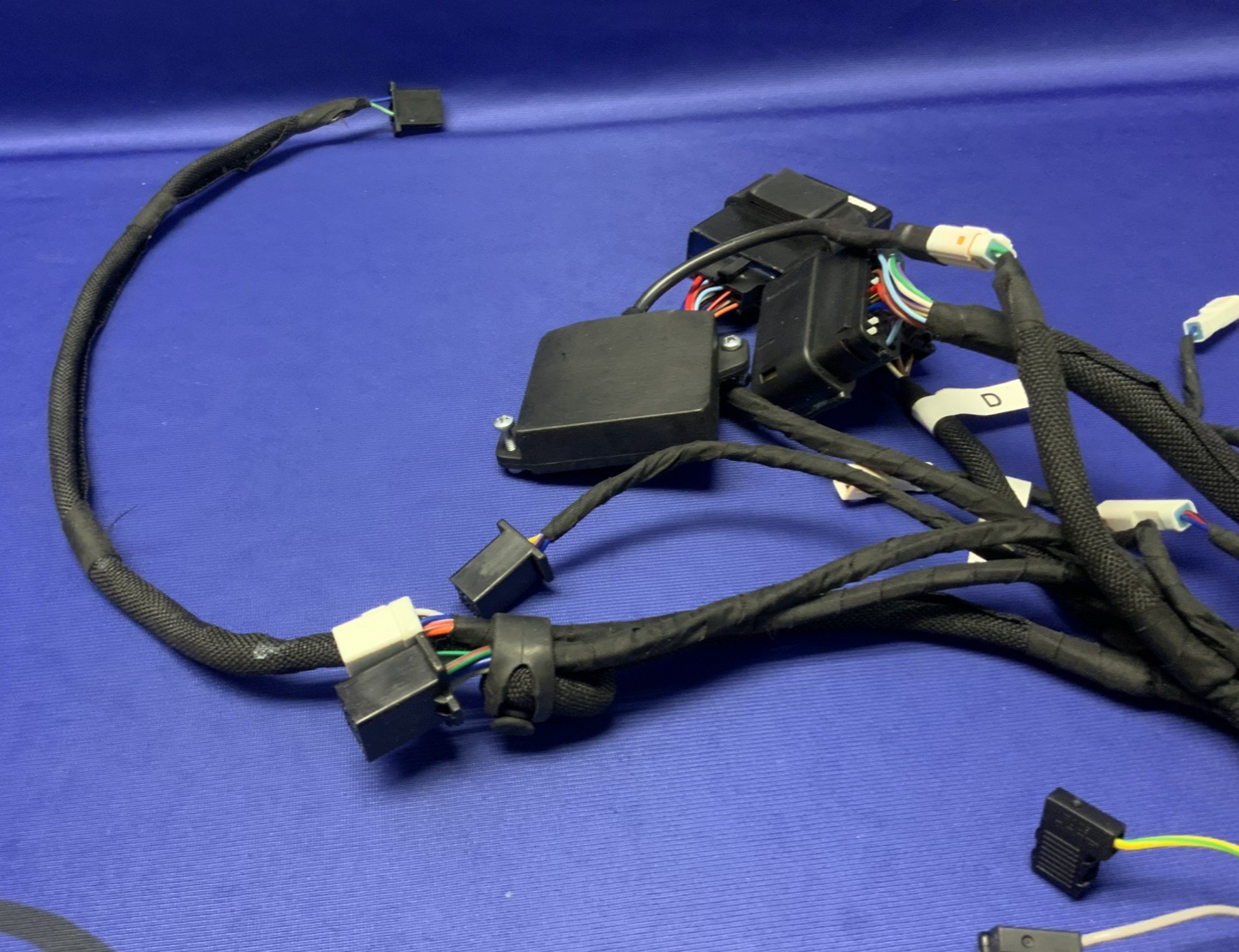 MV Agusta Wiring Harness F3R/RR 2023 OEM 8000D1225