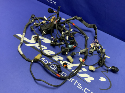 Ducati Electric Wiring Harness Panigale V4 2021-2024 OEM 5101H711E