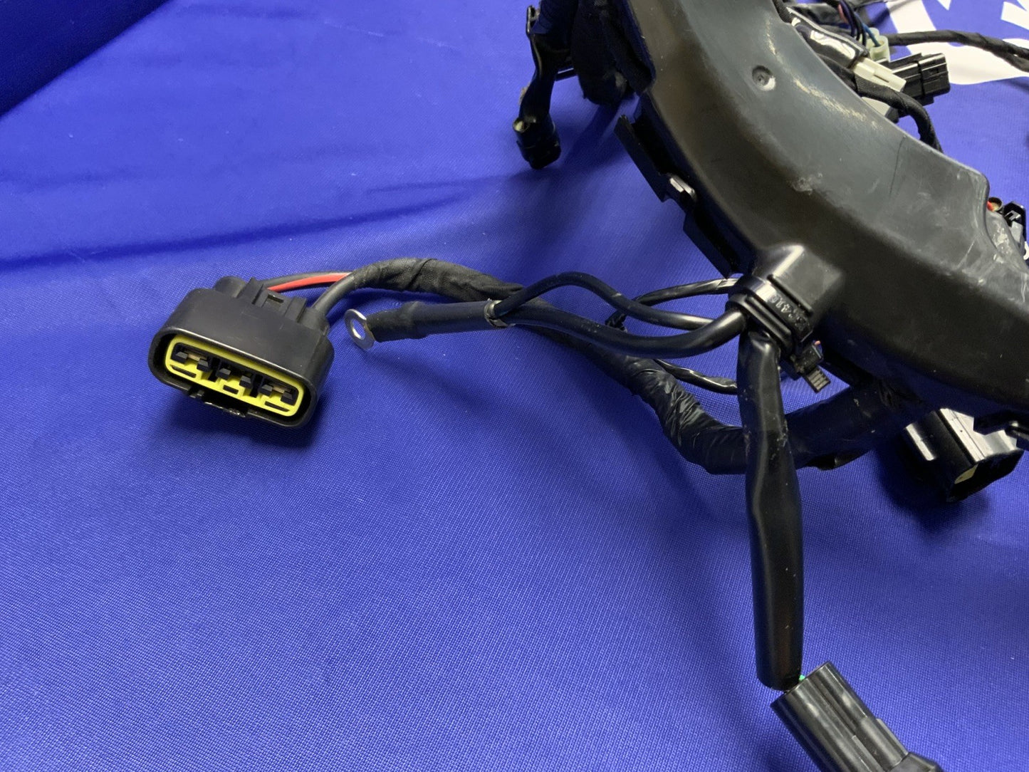 Triumph Main Wiring Harness (No Horn) Street Triple RS 23-25 OEM T2506090-1