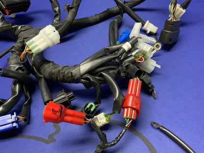 KTM Wiring Harness W/ ECU RC 390 2016-2021 OEM 93511075200