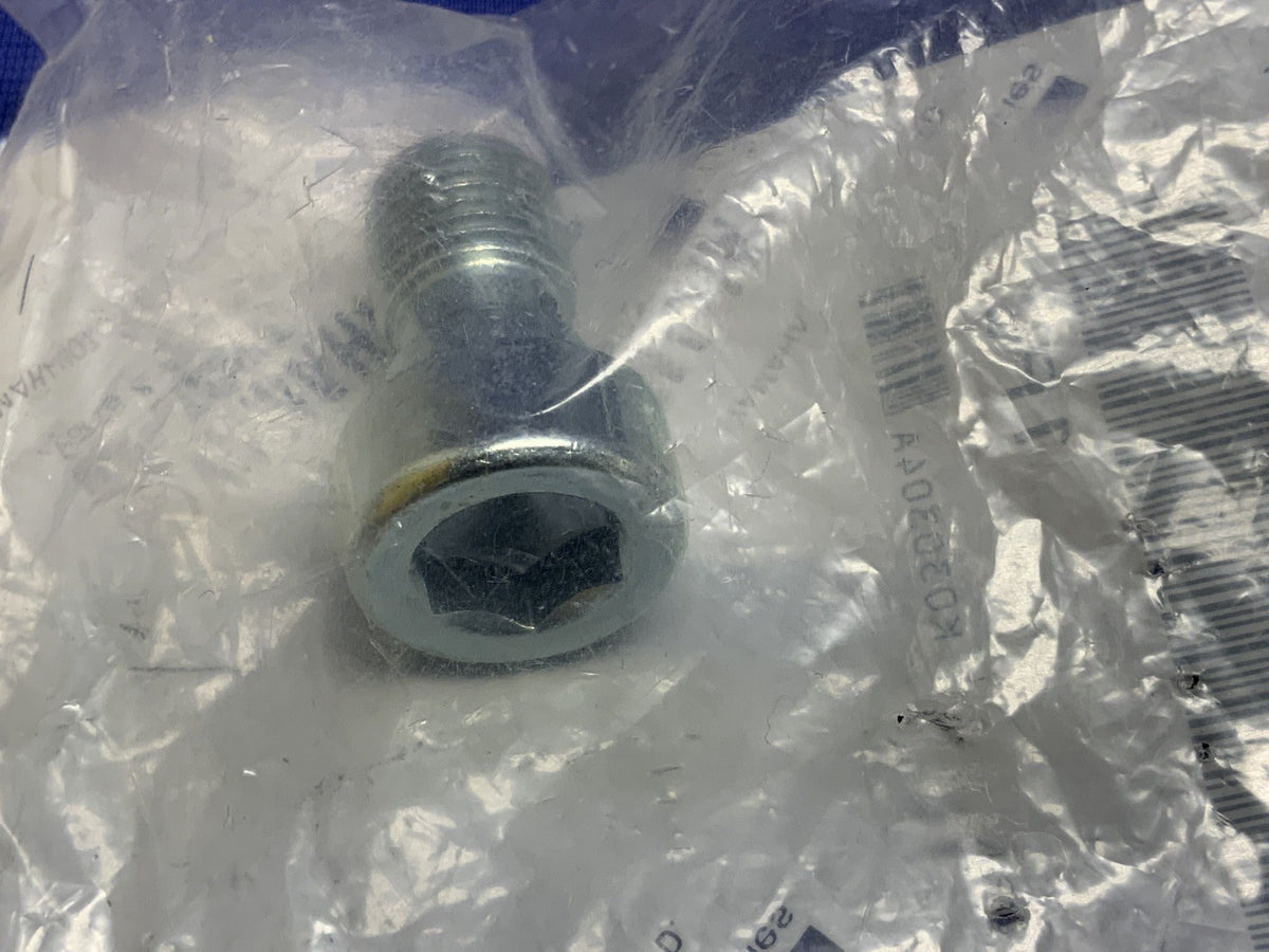 Yamaha Front Fork Hexagon Socket Head Bolt YZF-R1 1998-2003 OEM 3LC-23181-00-00