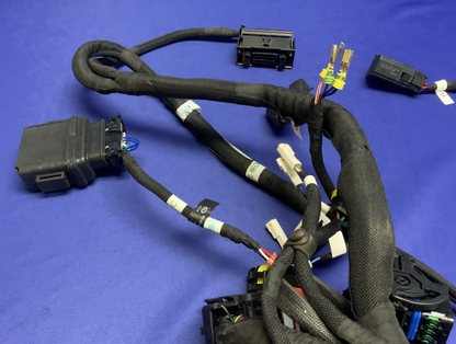 MV Agusta Wiring Harness F3R/RR 2023 OEM 8000D1225