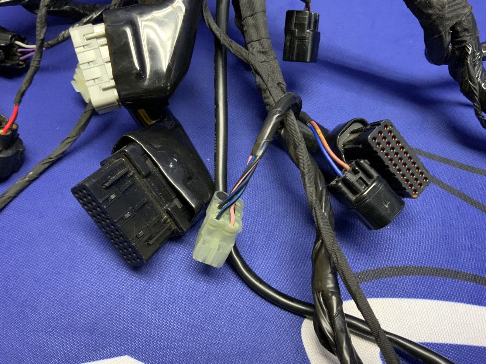 Triumph Main Wiring Harness (No Horn) Street Triple RS 23-25 OEM T2506090-1