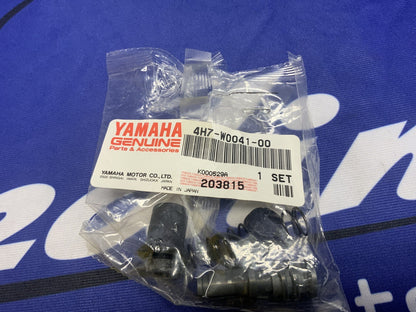 Yamaha Master Cylinder Kit Virago 535 1987-2000 OEM 4H7-W0041-00-00