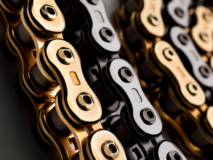 EK RV3D 520 Chain - 120 Link